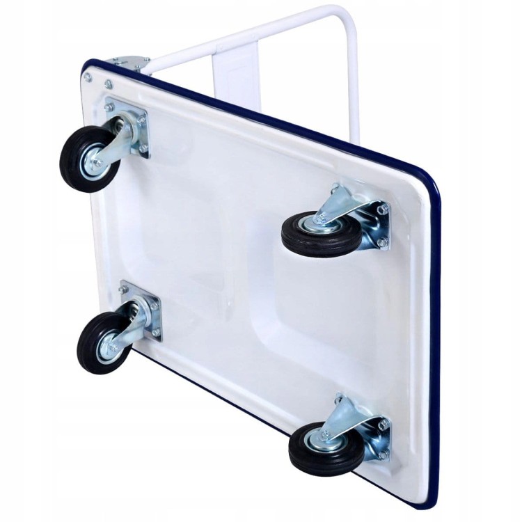 Wózek platformowy magazynowy transportowy (udźwig 300kg)