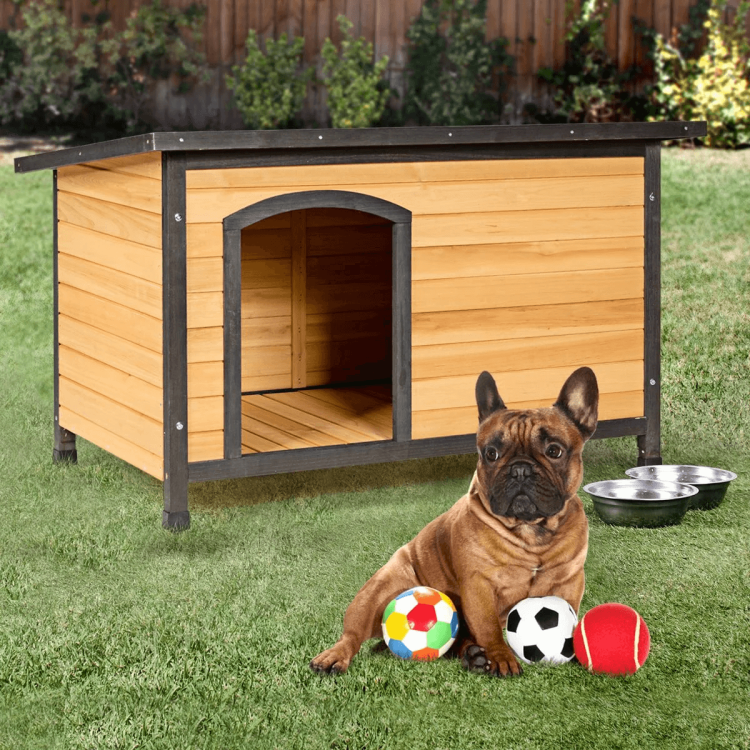 Buda dla psa podniesiona 84 x 61 x 56 cm