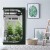 Growbox kompaktowa szklarnia 122 x 122 x 201 cm