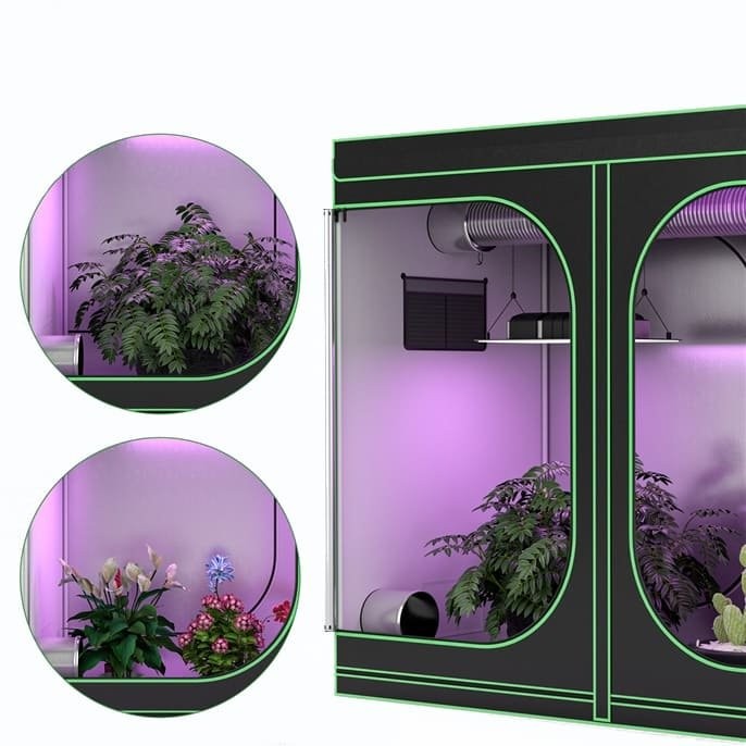 Growbox kompaktowa szklarnia 242 x 122 x 201 cm