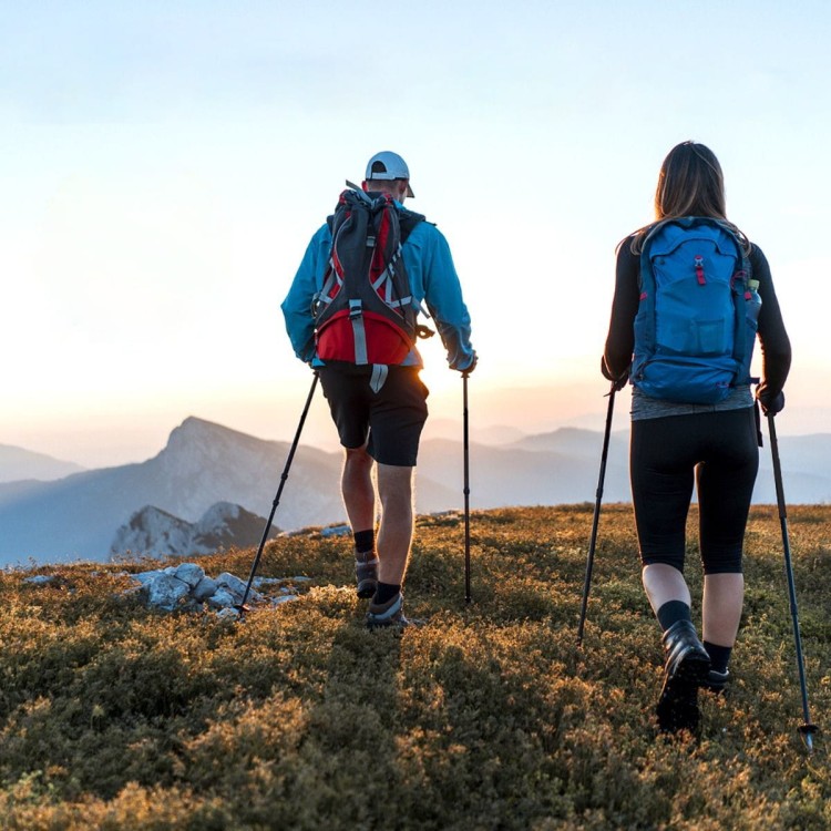 Regulowane kije do nordic walking z akcesoriami