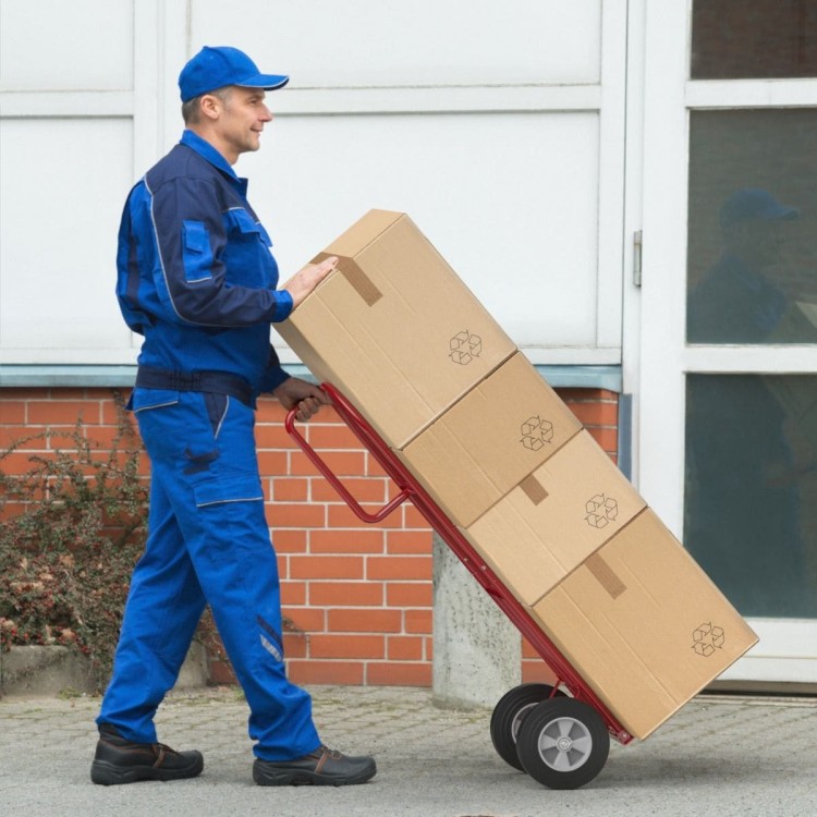 carrello_portapacchi-th10050re-_1_.jpg