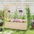 Pergola do sadzenia roślin z kratą i daszkiem dla pnączy