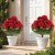 Czerwona sztuczna pelargonia 2 szt